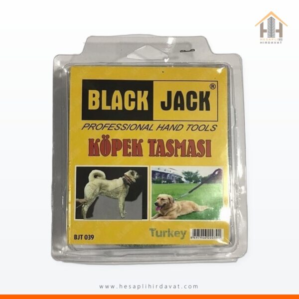 Köpek Tasması Zincirli Set