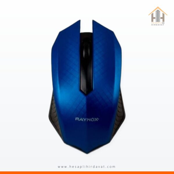 Raynox RX-M22 Usb Mouse Mavi